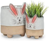 Abbott | Bunny Planter