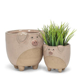 Abbott | Large Pig on Legs Planter