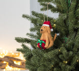 Abbott | Holiday Dog with Present Christmas Ornament