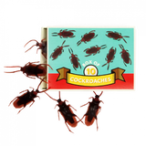 Rex London | Box of Cockroaches