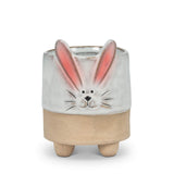 Abbott | Bunny Planter