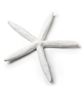 Abbott | Medium White Starfish