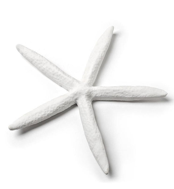 Abbott | Medium White Starfish